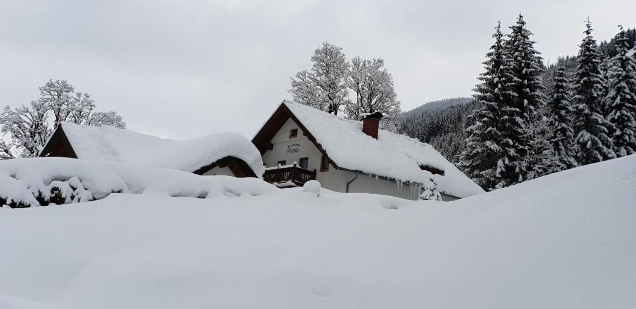 Ferienhaus Poettler Untertauern Exterior foto
